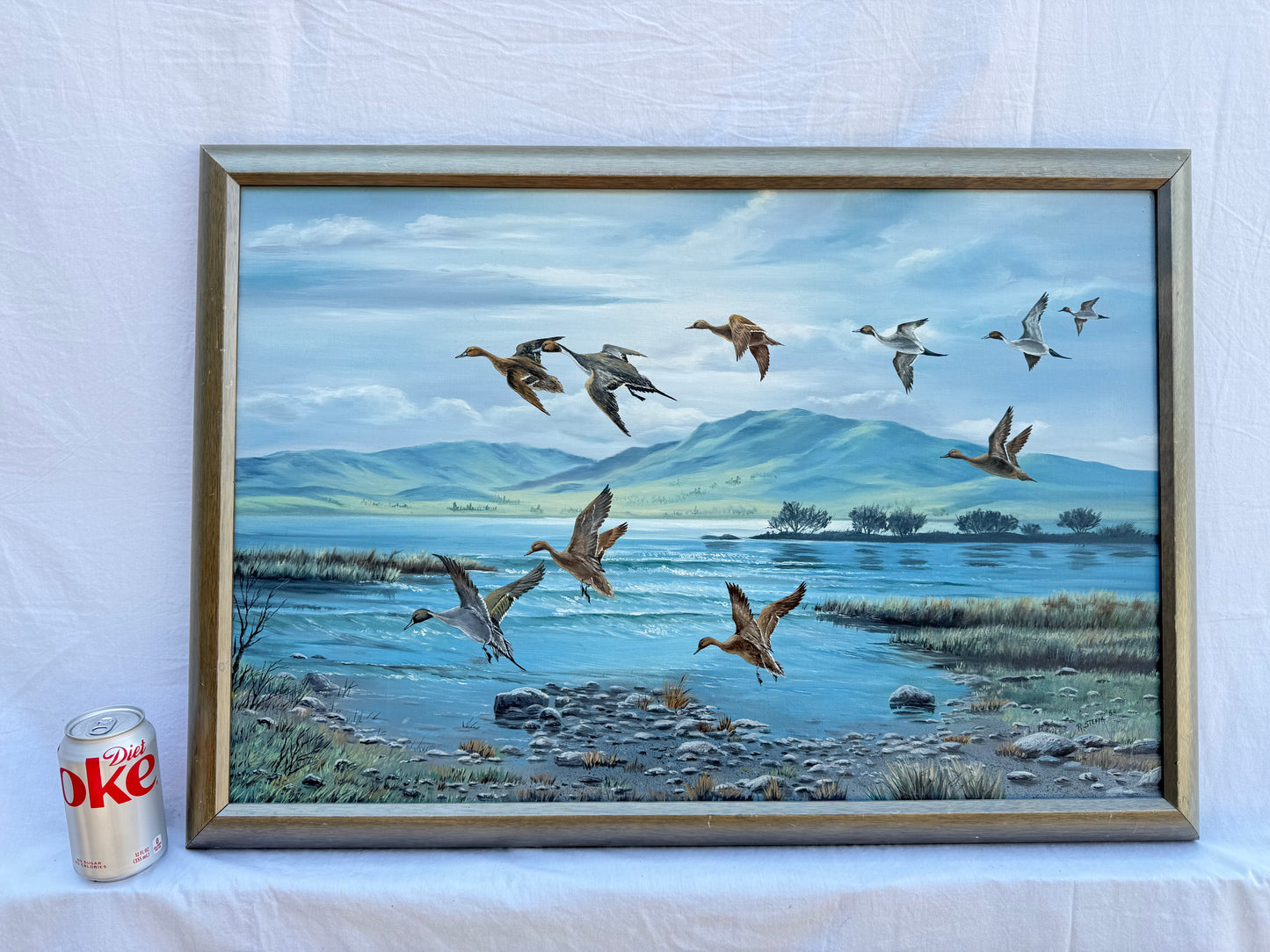 Pintail Painting (1980) Signed “R. Steffa” Frame: 32.5x22.5in