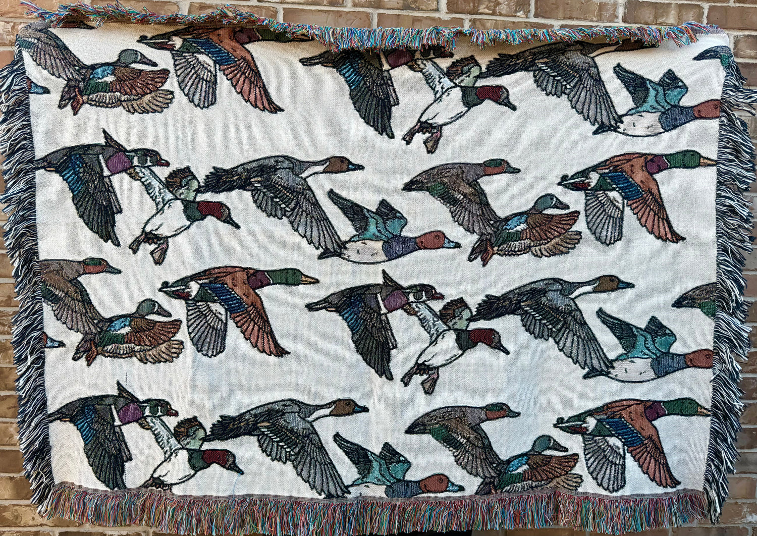 THE MIGRATION COLLECTION