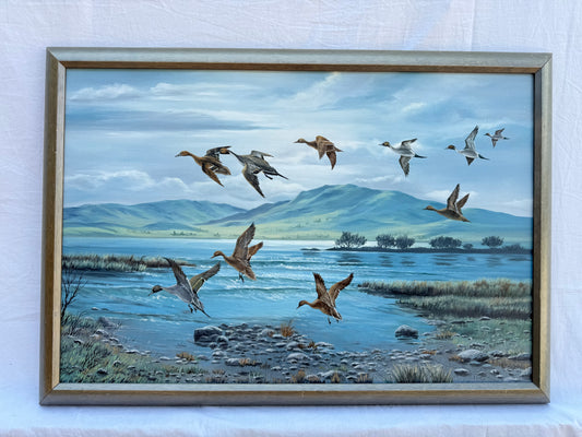 Pintail Painting (1980) Signed “R. Steffa” Frame: 32.5x22.5in