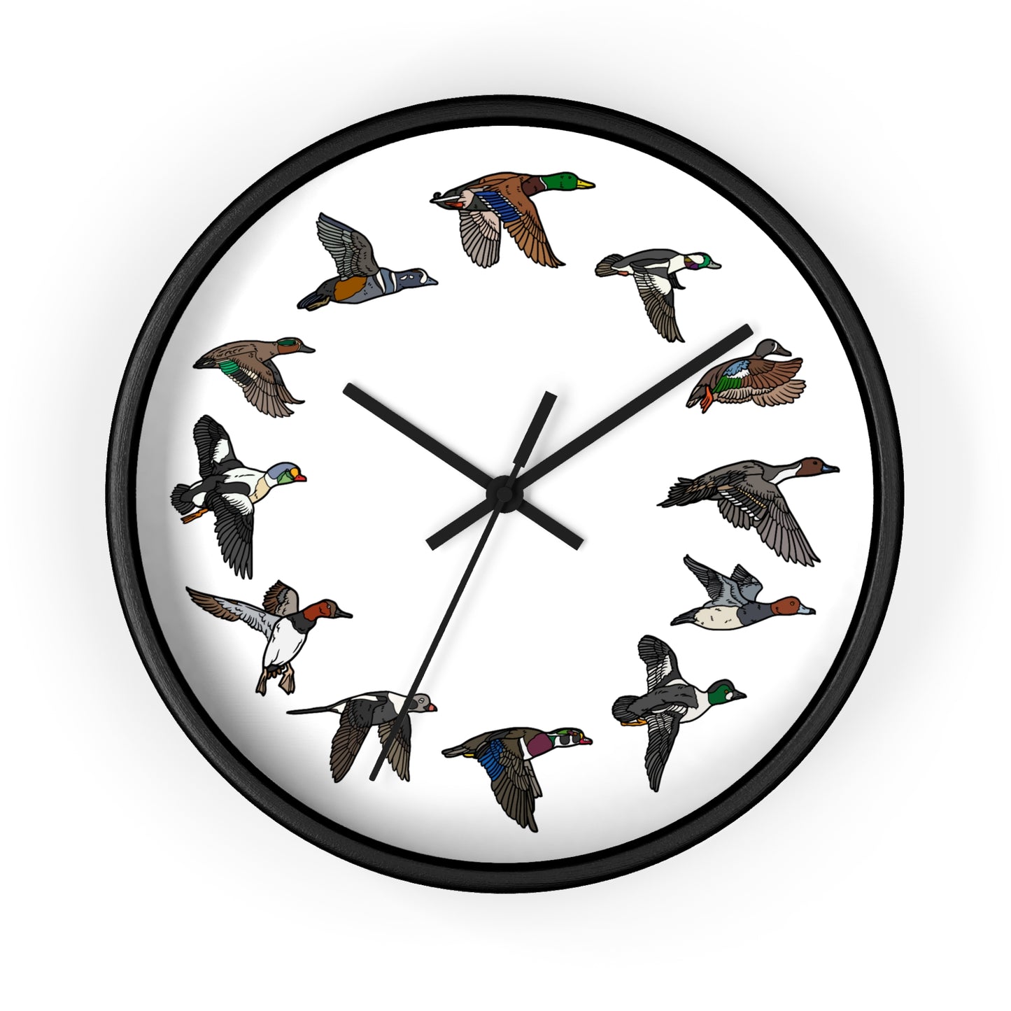 The Migration Clock (3 Colors)