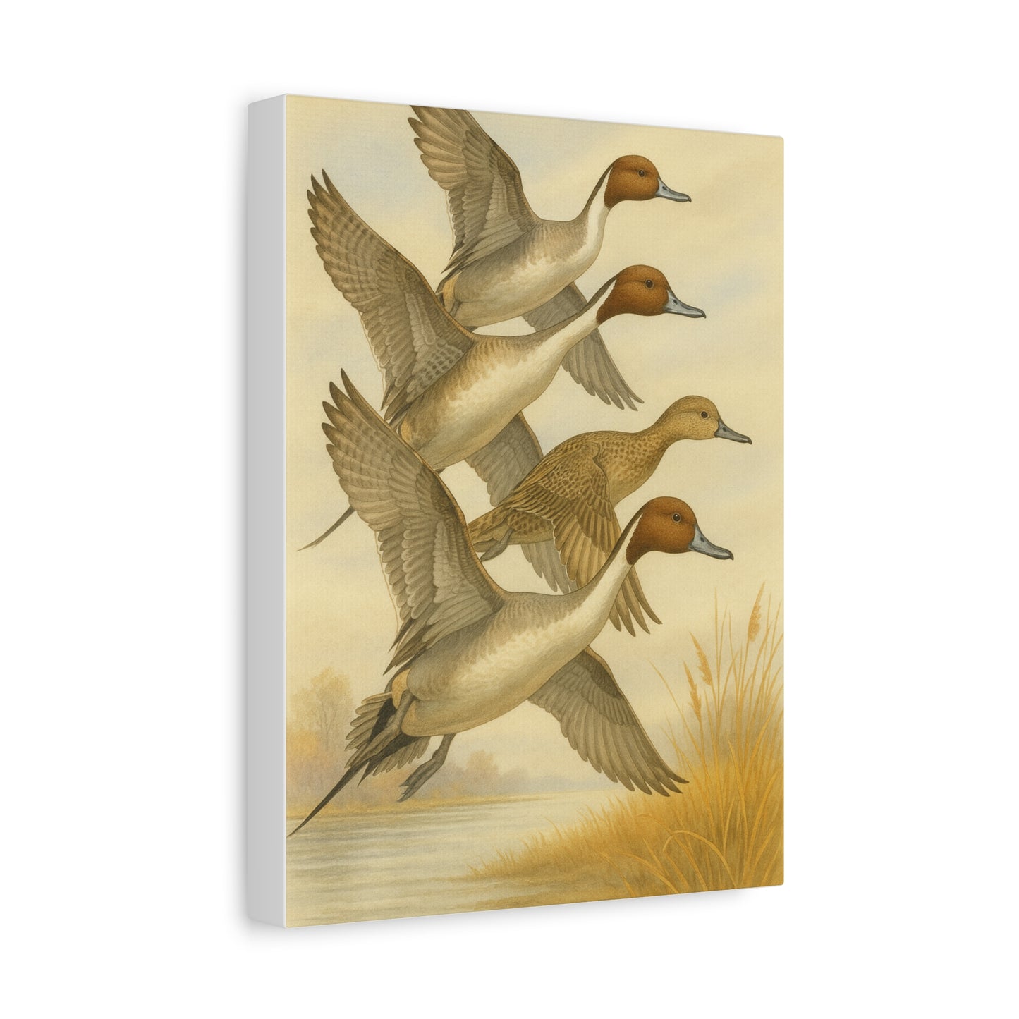 Pintails Canvas (2 Sizes)