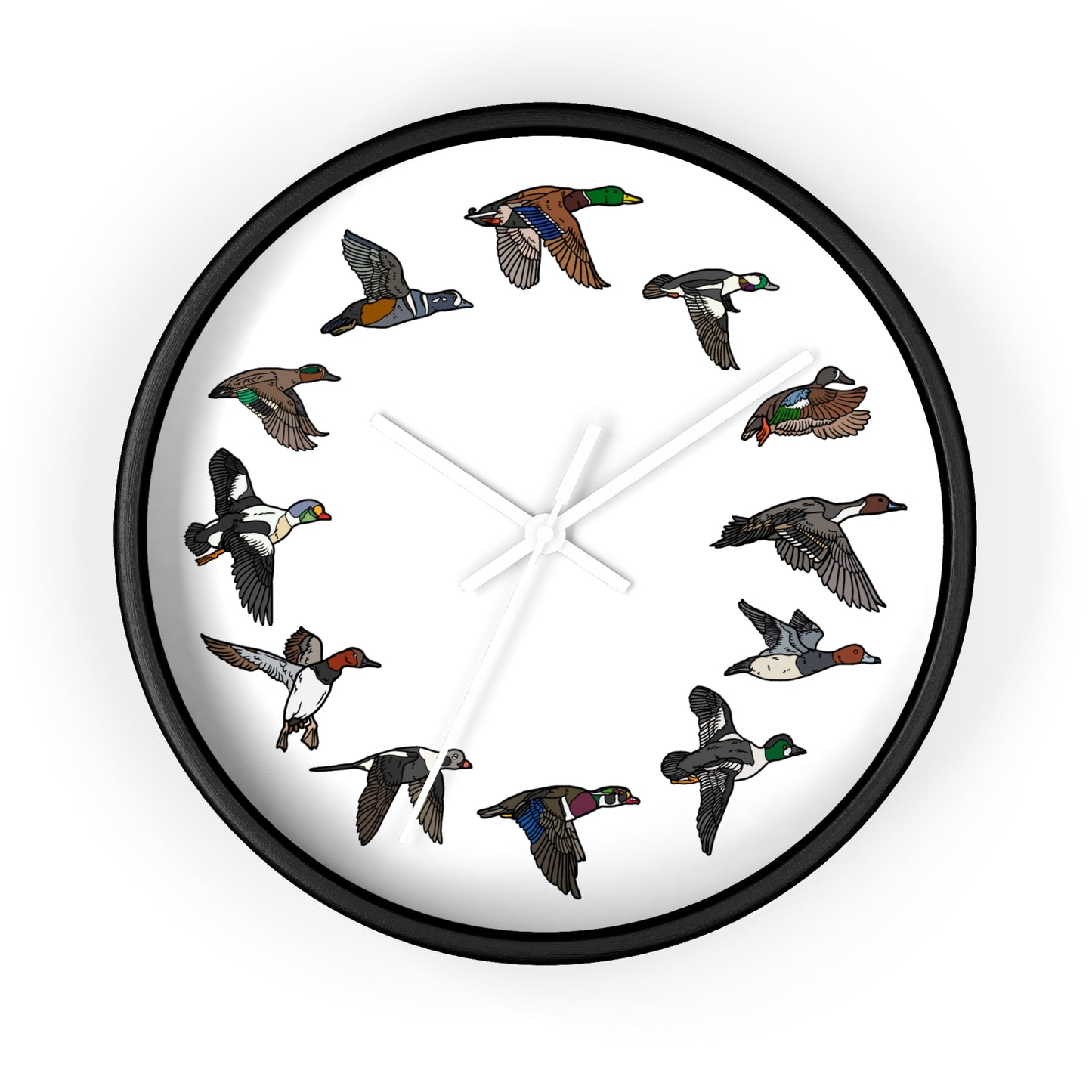 The Migration Clock (3 Colors)