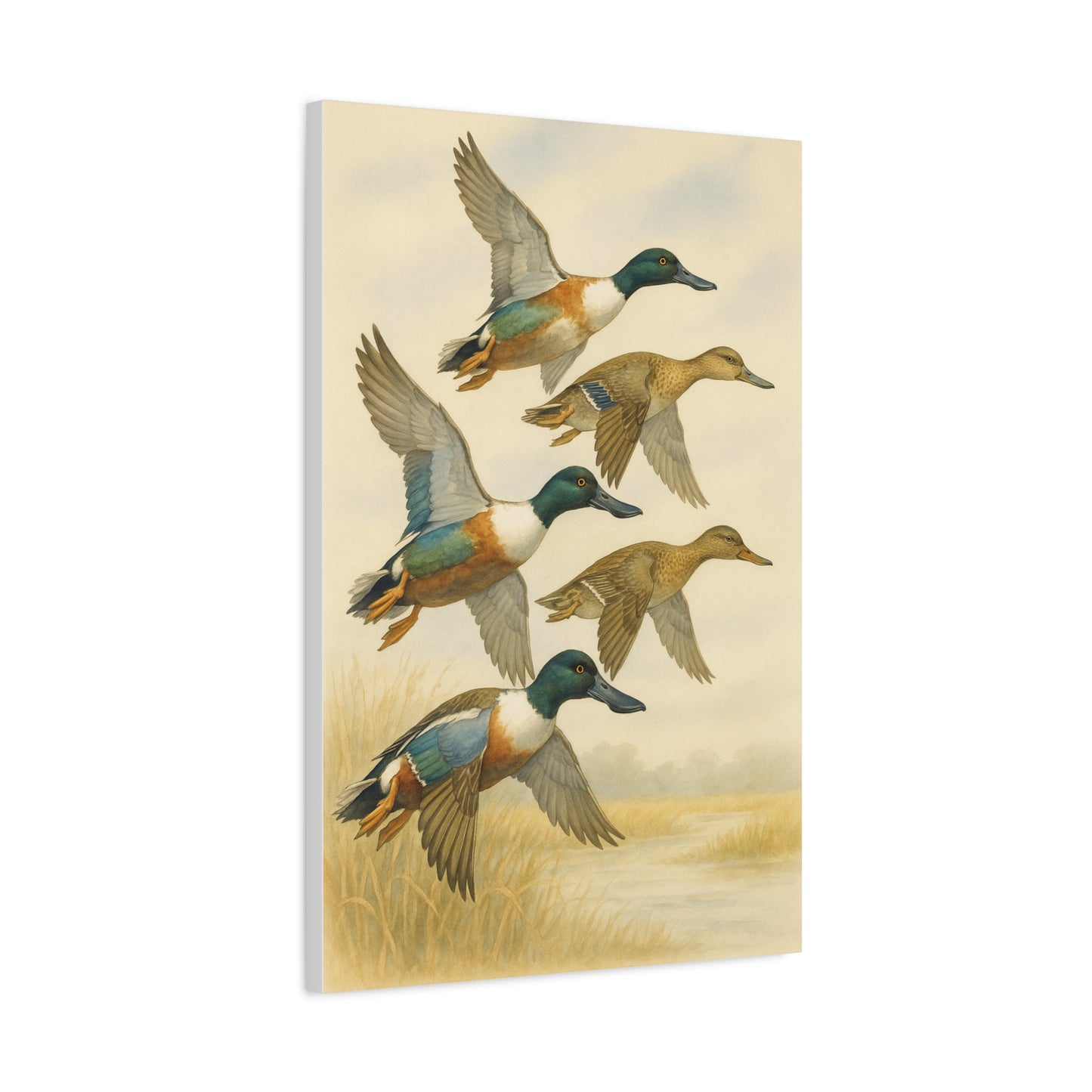 Northern Shovelers Spoonie Canvas (2 Sizes)