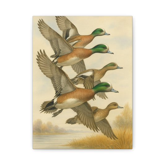 Wigeons Canvas (2 Sizes)