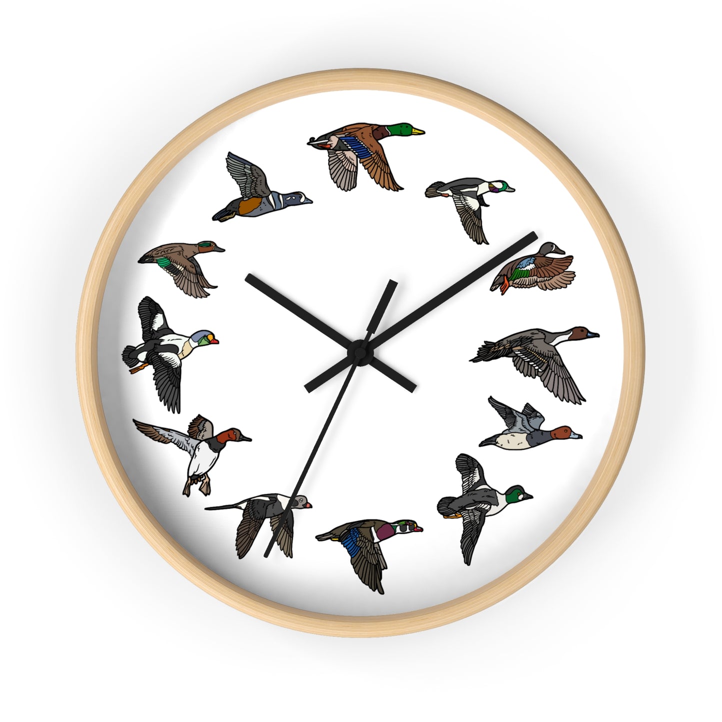The Migration Clock (3 Colors)