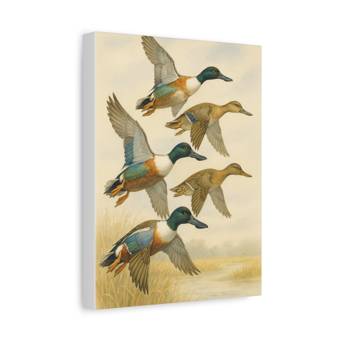 Northern Shovelers Spoonie Canvas (2 Sizes)
