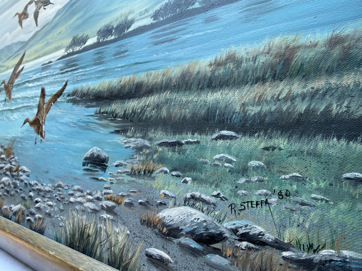 Pintail Painting (1980) Signed “R. Steffa” Frame: 32.5x22.5in