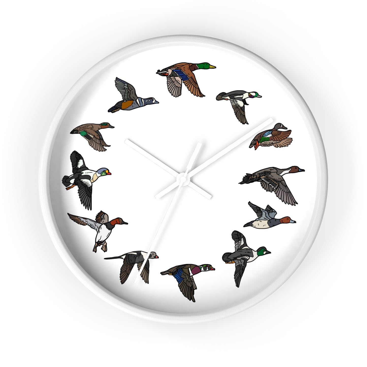 The Migration Clock (3 Colors)