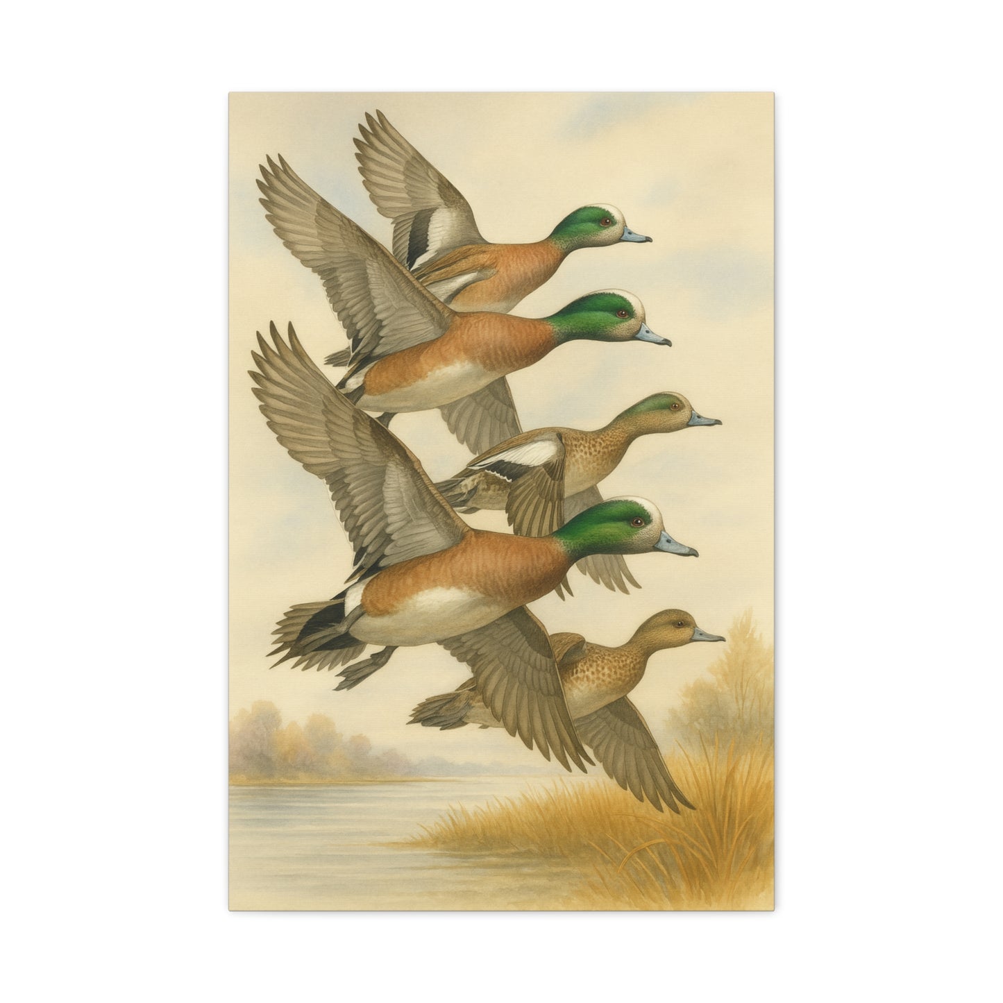Wigeons Canvas (2 Sizes)