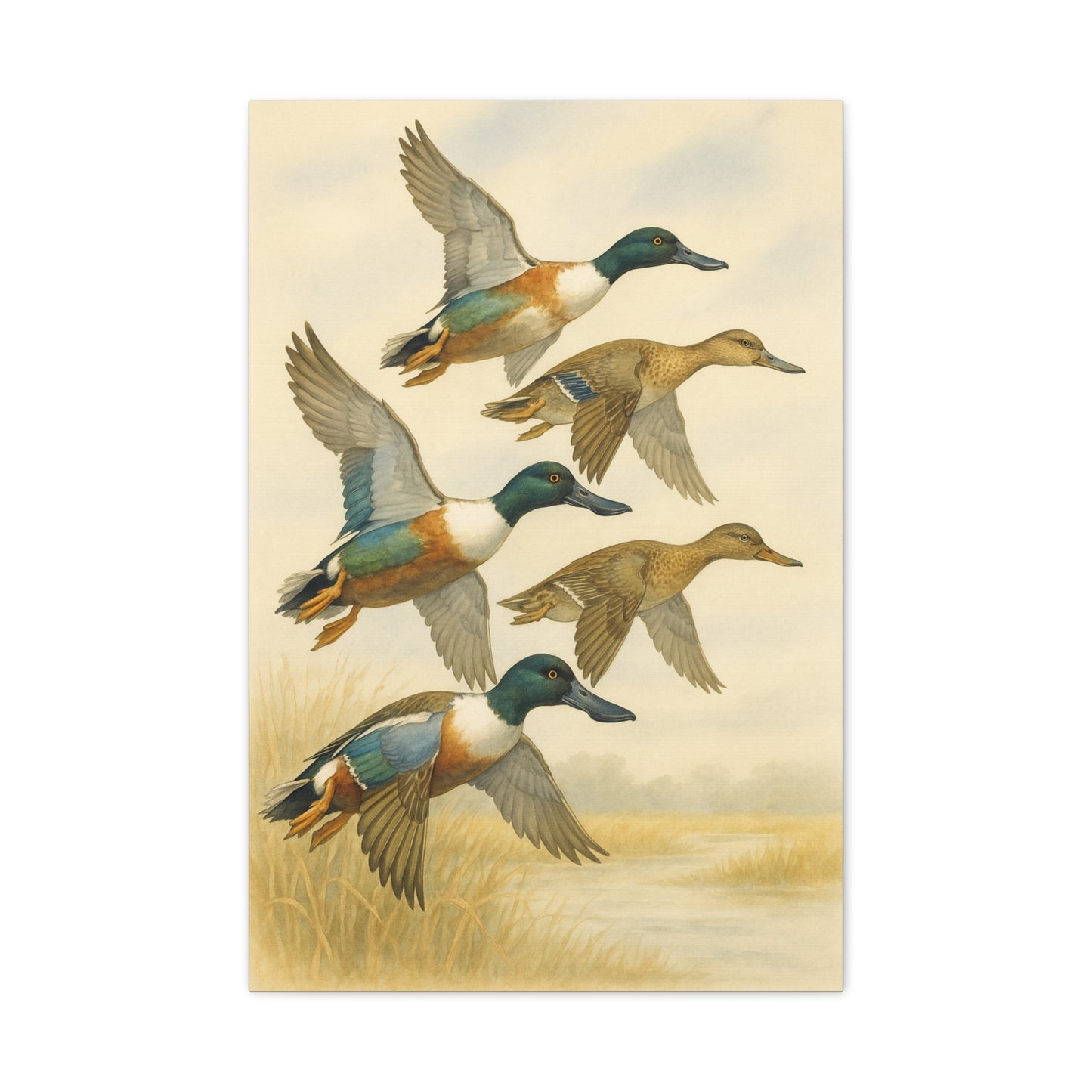 Northern Shovelers Spoonie Canvas (2 Sizes)