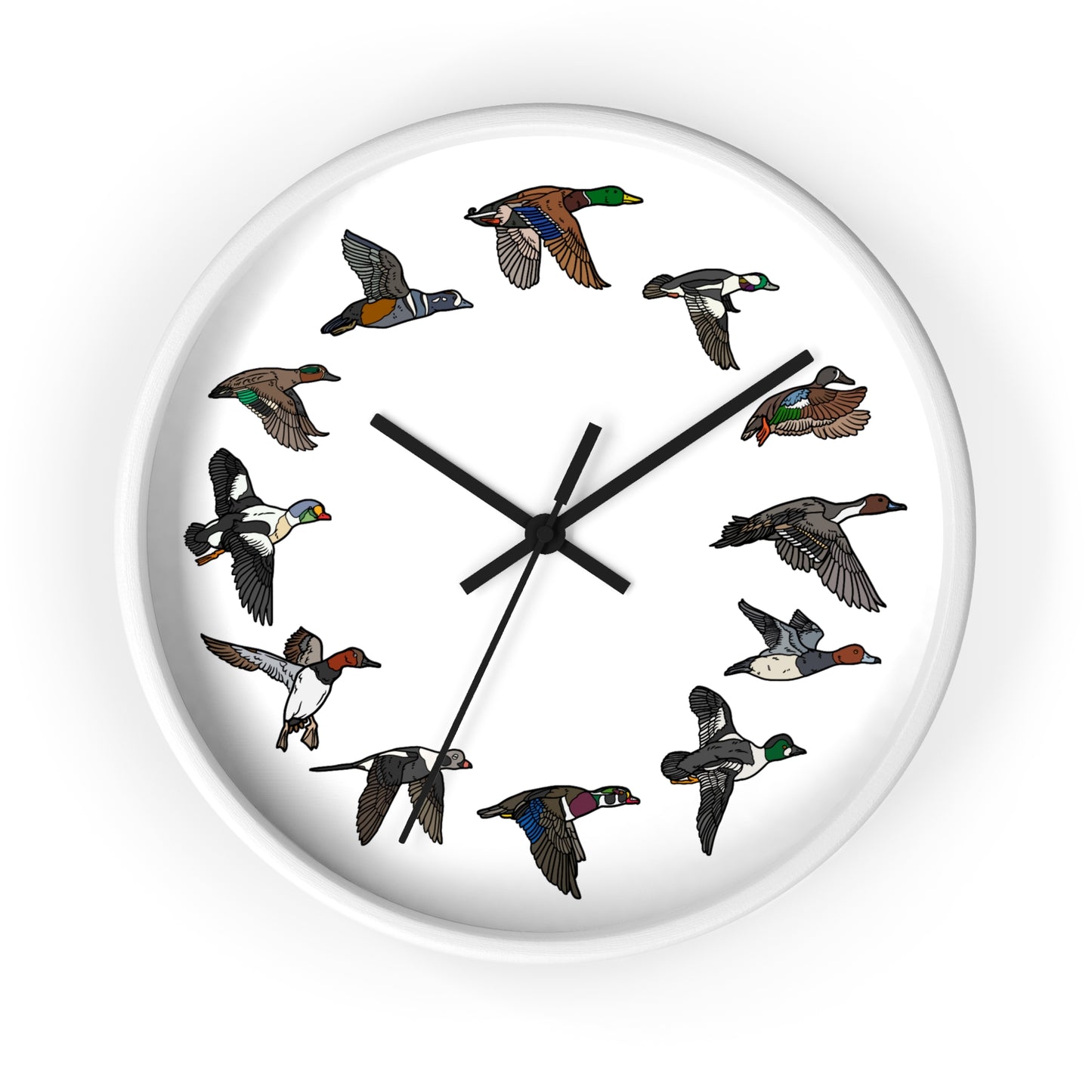 The Migration Clock (3 Colors)