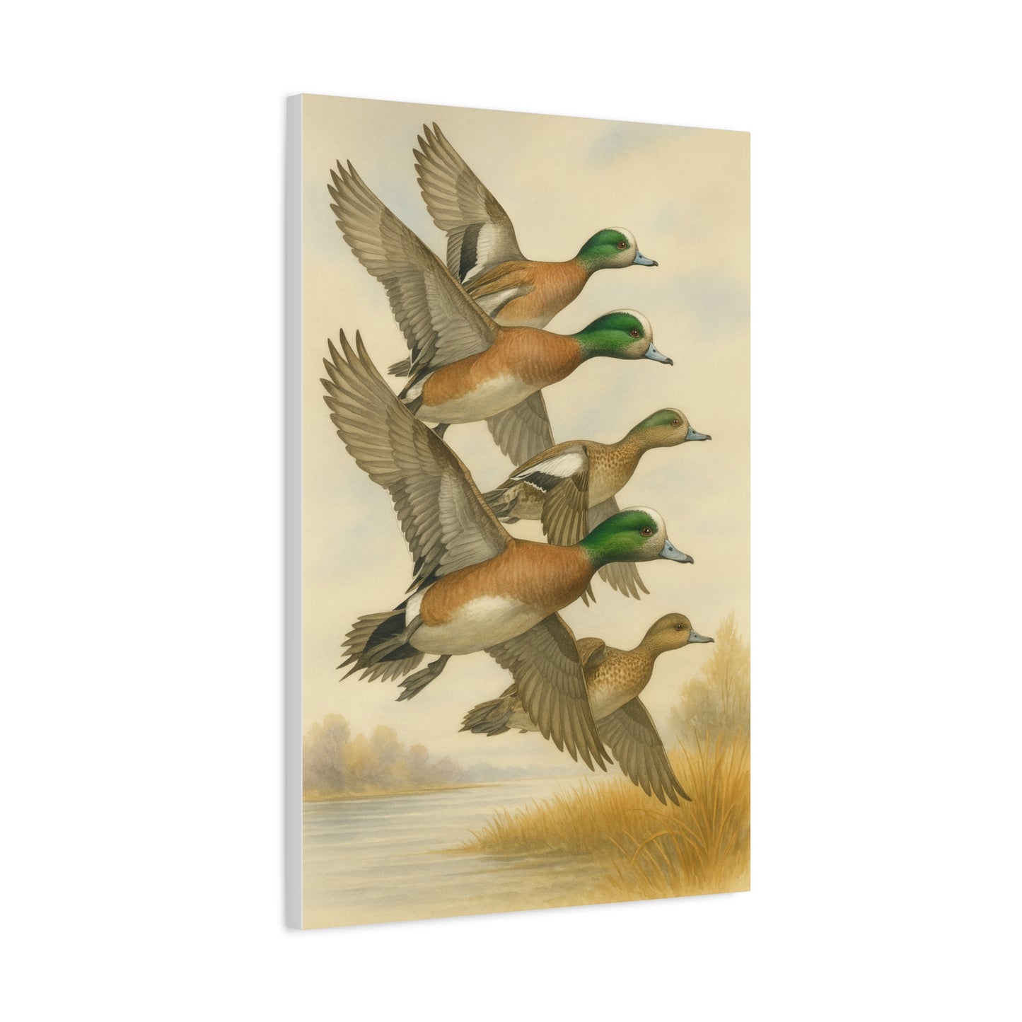 Wigeons Canvas (2 Sizes)