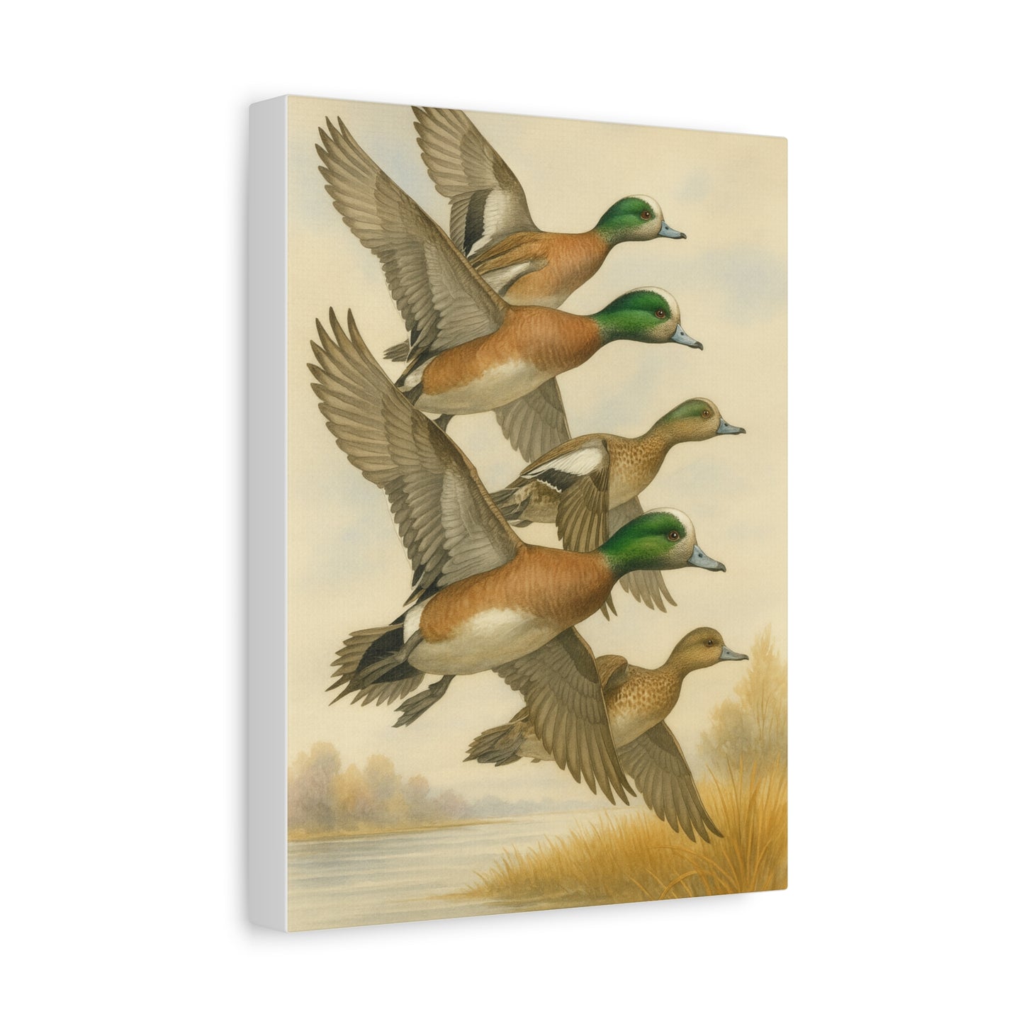 Wigeons Canvas (2 Sizes)