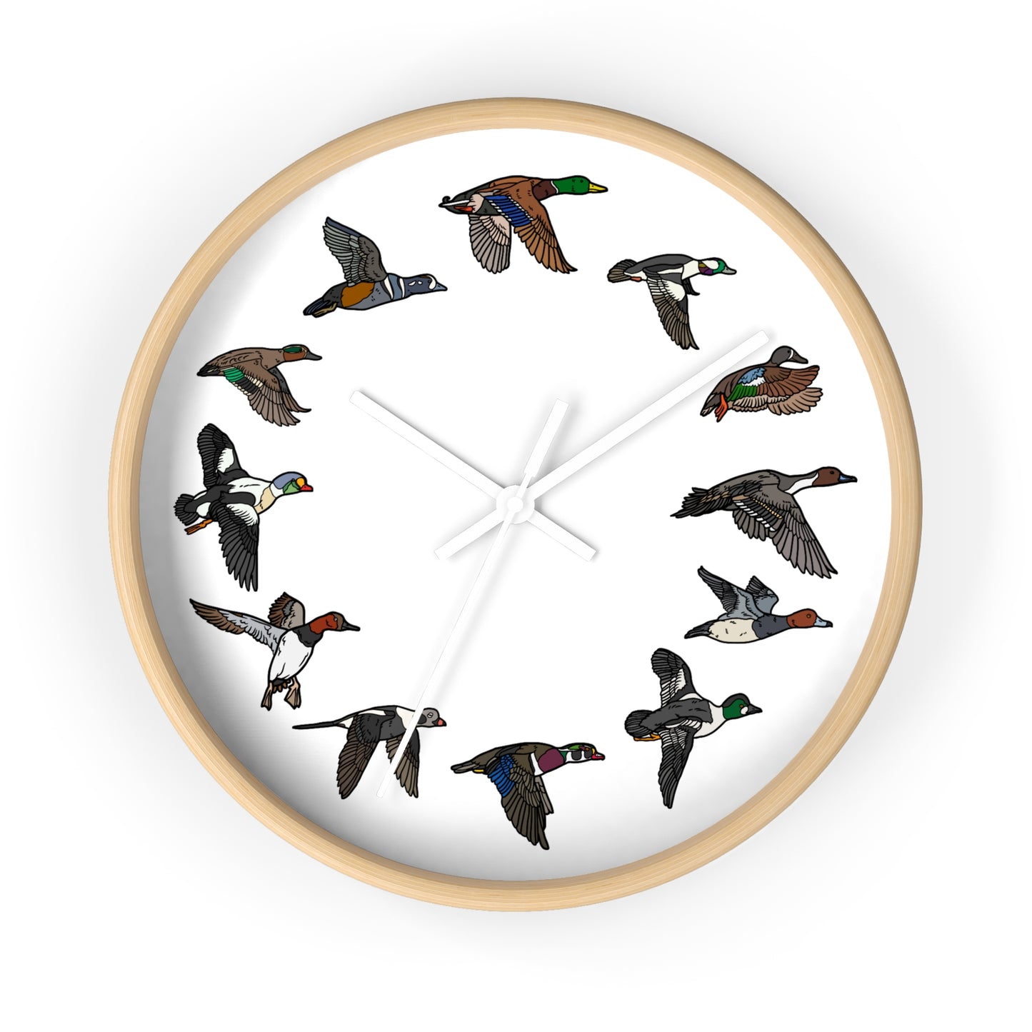 The Migration Clock (3 Colors)