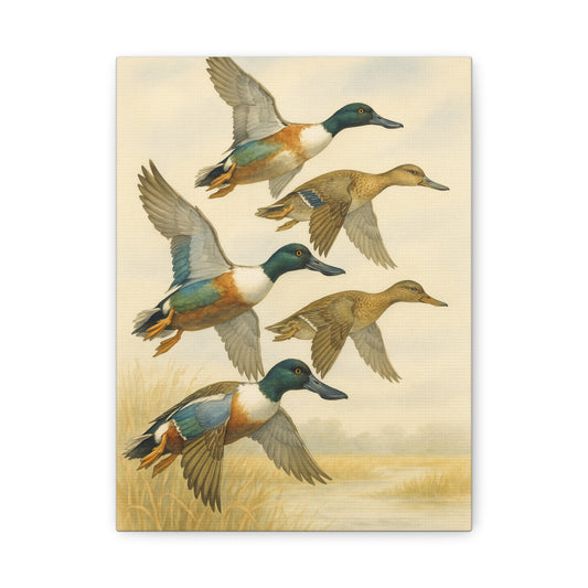 Northern Shovelers Spoonie Canvas (2 Sizes)