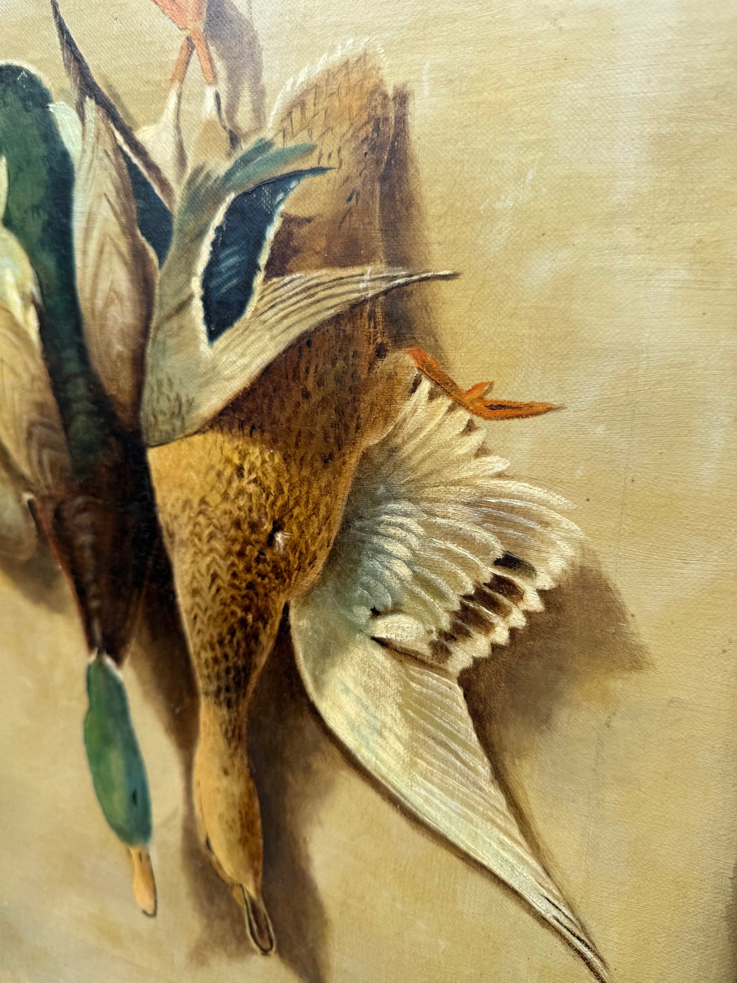 Mallard Dead Mount Painting (1914) Frame: 16.5x19in