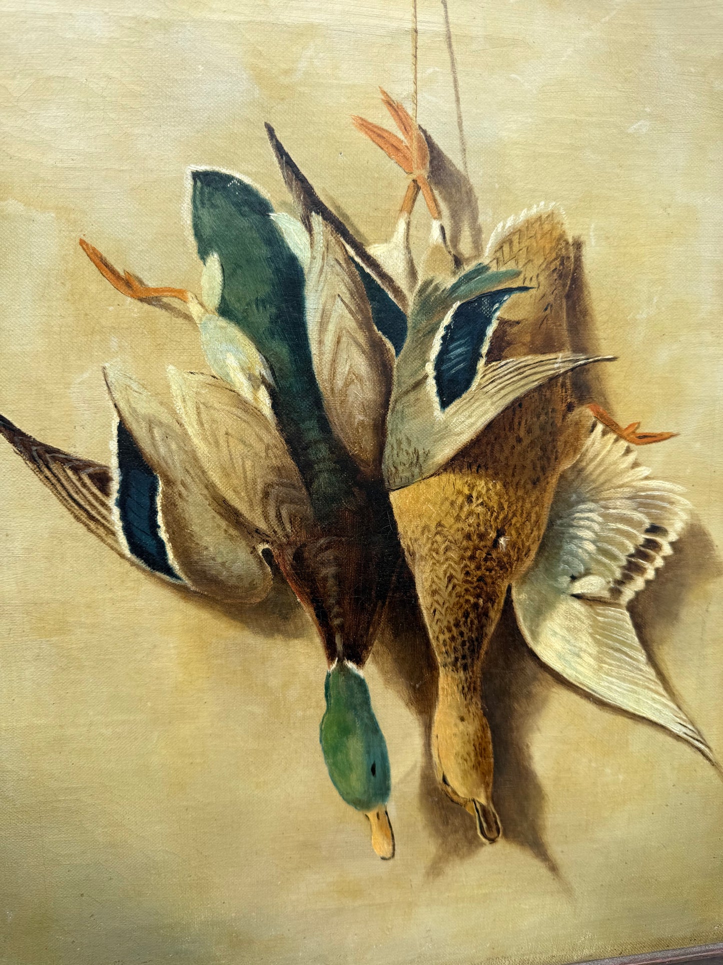Mallard Dead Mount Painting (1914) Frame: 16.5x19in