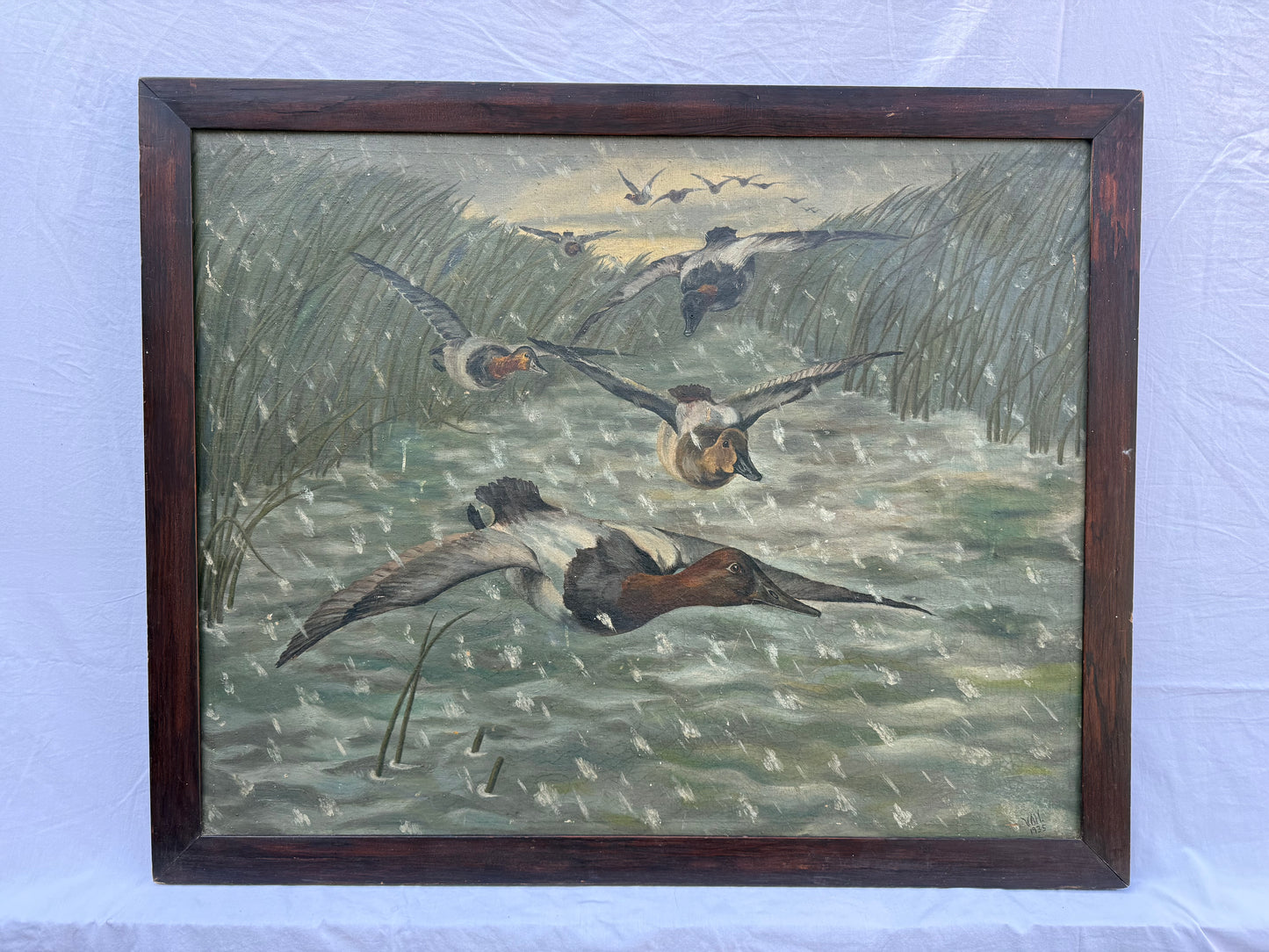 Canvasback Painting (1935) Signed “VAH” Frame: 37x30in