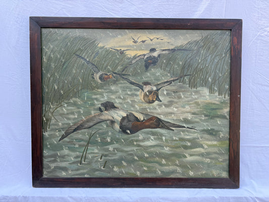 Canvasback Painting (1935) Signed “VAH” Frame: 37x30in